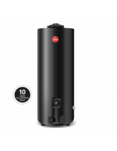 Termotanque Rheem Gas...