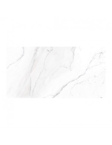 Porcelanato Tendenza Aspen 57x117...