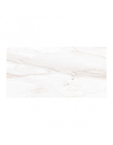 Porcelanato Tendenza Elegance 57x117...